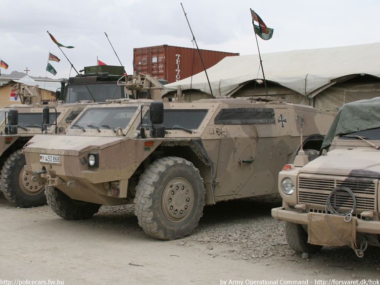 afg008.jpg