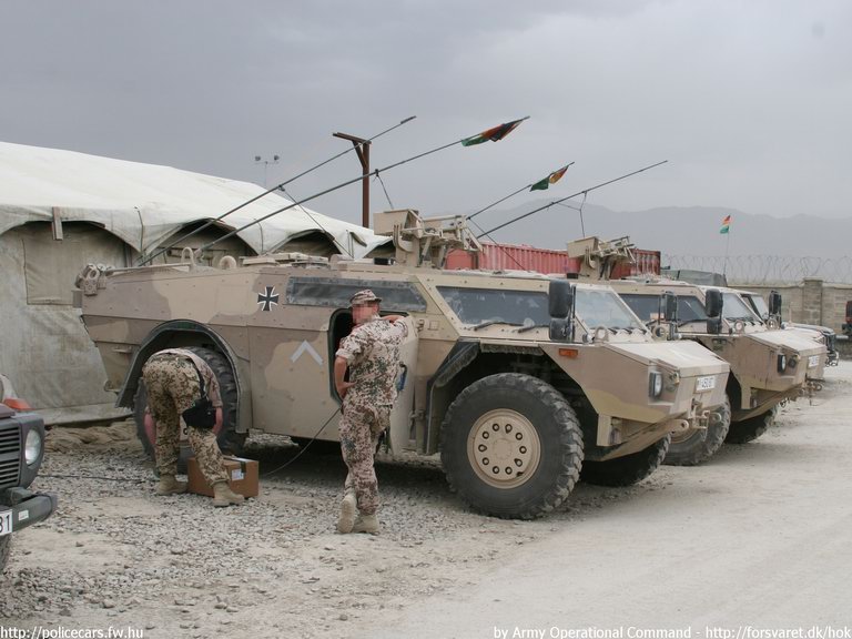 afg009.jpg