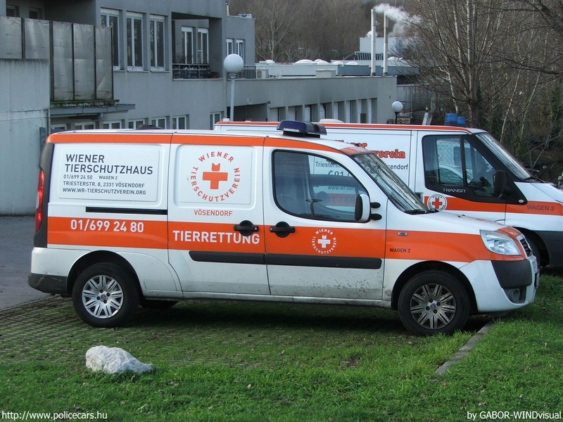 Fiat Doblo, Állatmentõk, fotó: GABOR-WINDvisual
Keywords: osztrák Ausztria