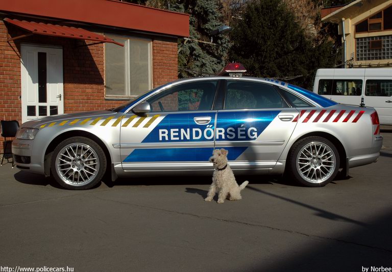Audi A8, fotó: Norbee
Keywords: rendőrautó rendőrség rendőr magyar Magyarország police policecar Hungary hungarian