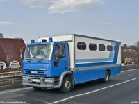 bv029.jpg