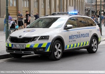 cze763.jpg