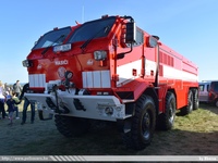 cze803.jpg
