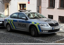 cze995.jpg