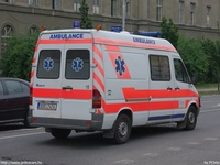 cze238.jpg