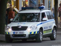cze445.jpg