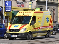 cze463.jpg