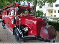 dea242.jpg