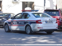gruz043.jpg