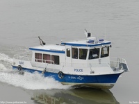 hajok035.jpg