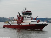 hajok042.jpg