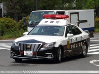jp039.jpg