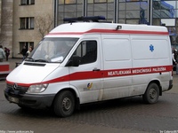 le010.jpg