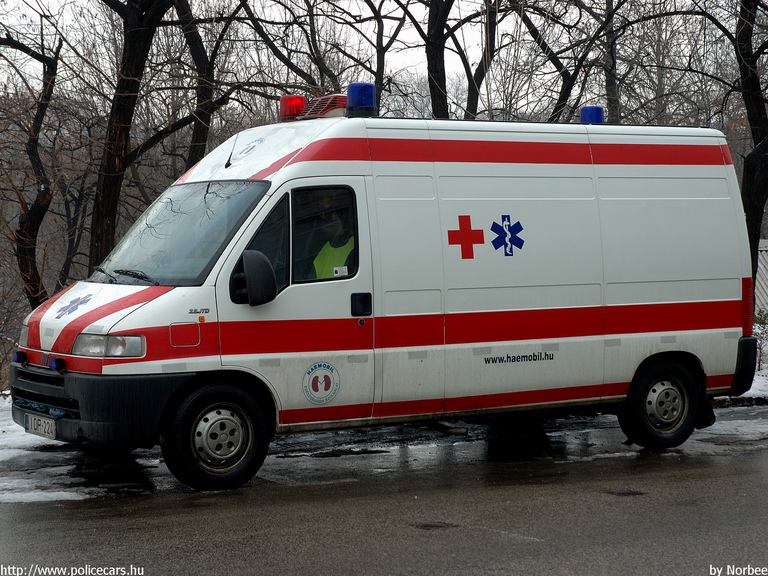 Fiat Ducato Maxi, HAEMOBIL Egészségügyi Szolgáltató Kht., fotó: Norbee
Keywords: mentő magyar Magyarország mentőautó IDP-224