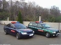 mento248.jpg