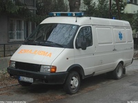 mento762.jpg