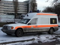 mentok368.jpg