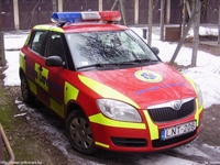 mentok538.jpg