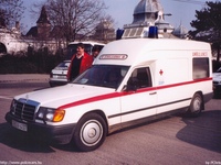 mentok568.jpg