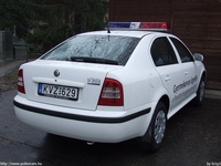 mentok654.jpg