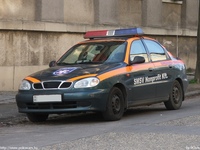 mentok685.jpg