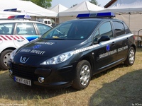 mentok729.jpg