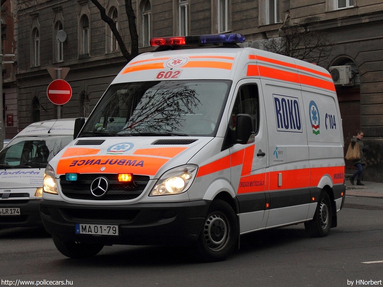 Mercedes-Benz Sprinter II 313 CDI, Budapest, Országos Mentõszolgálat, fotó: HNorbert
Keywords: mentő mentőautó OMSZ magyar Magyarország MA01-79