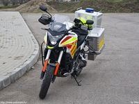 mentok990.jpg