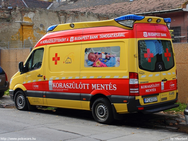  Mercedes-Benz Sprinter II 315 CDI, Budapest, Peter Cerny Alapítvány, koraszülöttmentõ, fotó: HNorbert 
Keywords: mentő magyar magyarország mentőautó PCA-002