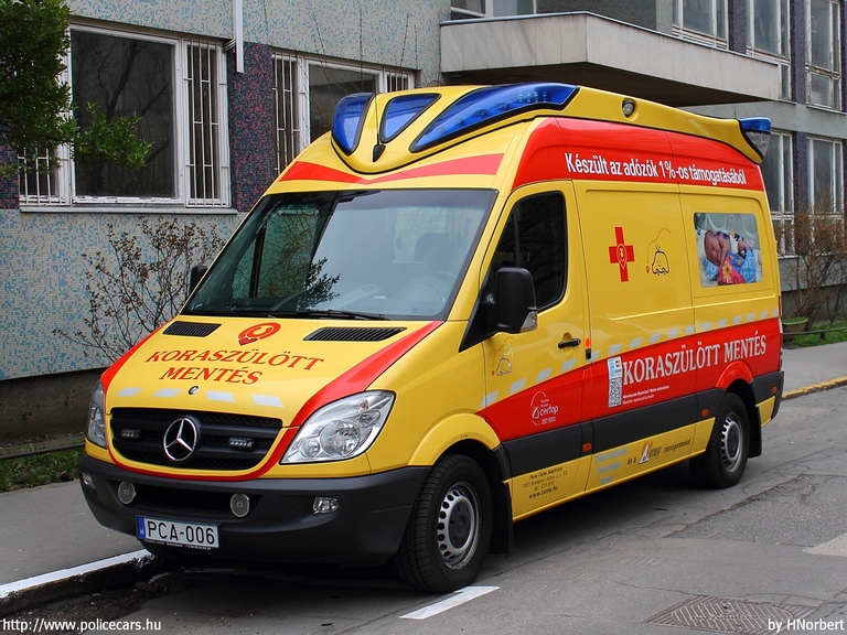 Mercedes-Benz Sprinter II 315 CDI, Budapest, Peter Cerny Alapítvány, koraszülöttmentõ, fotó: HNorbert 
Keywords: mentő mentőautó magyar Magyarország PCA-006