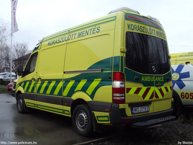 Mercedes-Benz Sprinter II 315 CDI, Koraszülött és Gyermek Intenzív Ellátásért a DOTE Gyermekklinikán Alapítvány, fotó: Bbazsa 
Keywords: mentő mentőautó magyar Magyarország MOJ-163 koraszülöttmentő