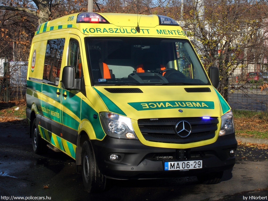 Mercedes-Benz Sprinter II facelift 316 CDI, Országos Mentõszolgálat, koraszülött mentõ, Gyõr, fotó: HNorbert
Keywords: mentő mentőautó OMSZ magyar Magyarország MA06-29