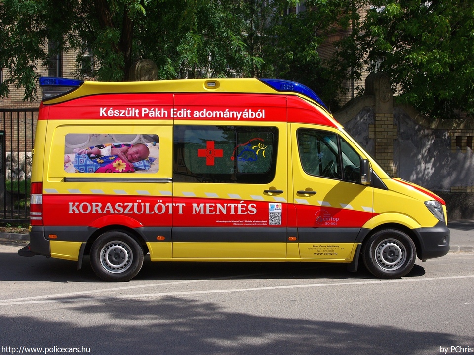 Mercedes Sprinter II facelift, Budapest, Peter Cerny Alapítvány, koraszülöttmentõ, fotó: PChris
Keywords: mentő mentőautó magyar Magyarország ambulance hungarian Hungary PCA-008