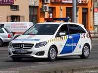 mercedes213.jpg