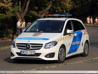 mercedes241.jpg