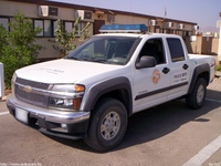 mfo008.jpg