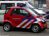 nl017.jpg
