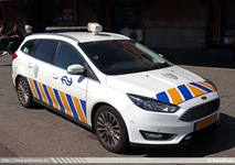 nl171.jpg