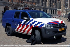 nl172.jpg