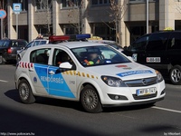 opel319.jpg