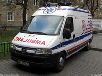 pl028.jpg