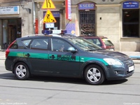 pl117.jpg