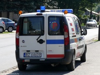 pl179.jpg