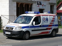 pl181.jpg