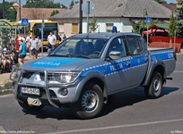 pl245.jpg