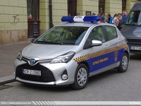 pl316.jpg