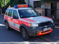 pl318.jpg