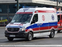 pl355.jpg