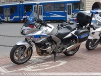 pl395.jpg