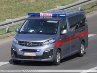pl497.jpg